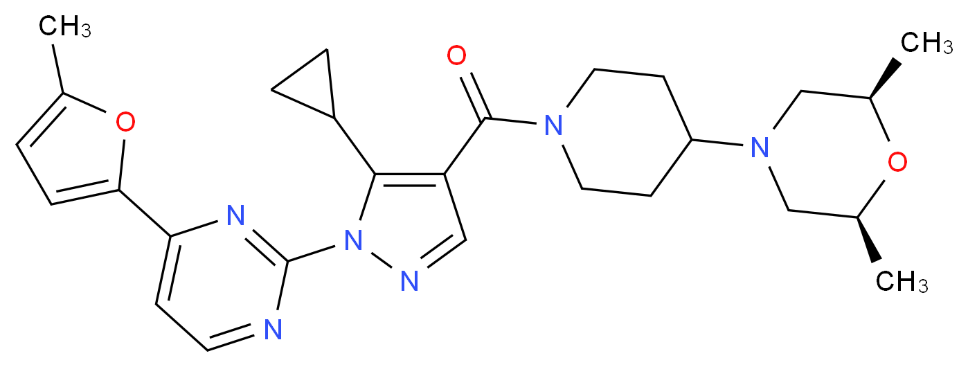  分子结构