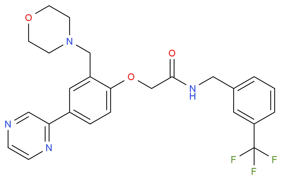  分子结构