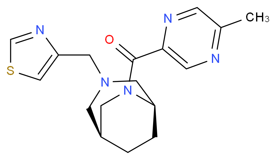  分子结构