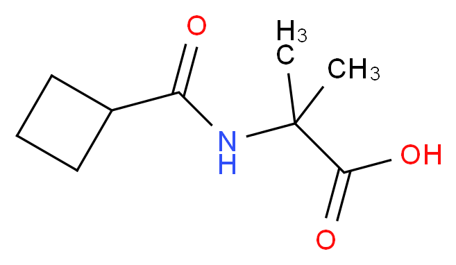 N-(Cyclobutylcarbonyl)-2-methylalanine_分子结构_CAS_)