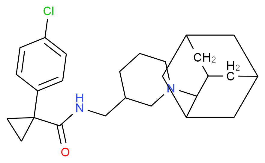 CAS_ 分子结构