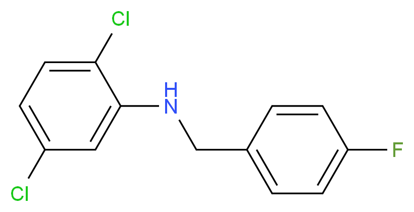 2,5-dichloro-N-[(4-fluorophenyl)methyl]aniline_分子结构_CAS_940355-99-7