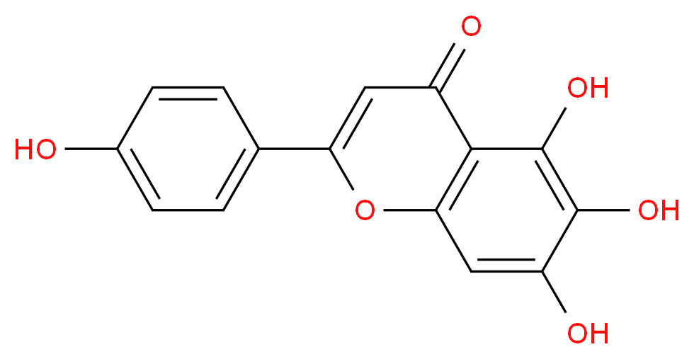 _分子结构_CAS_)