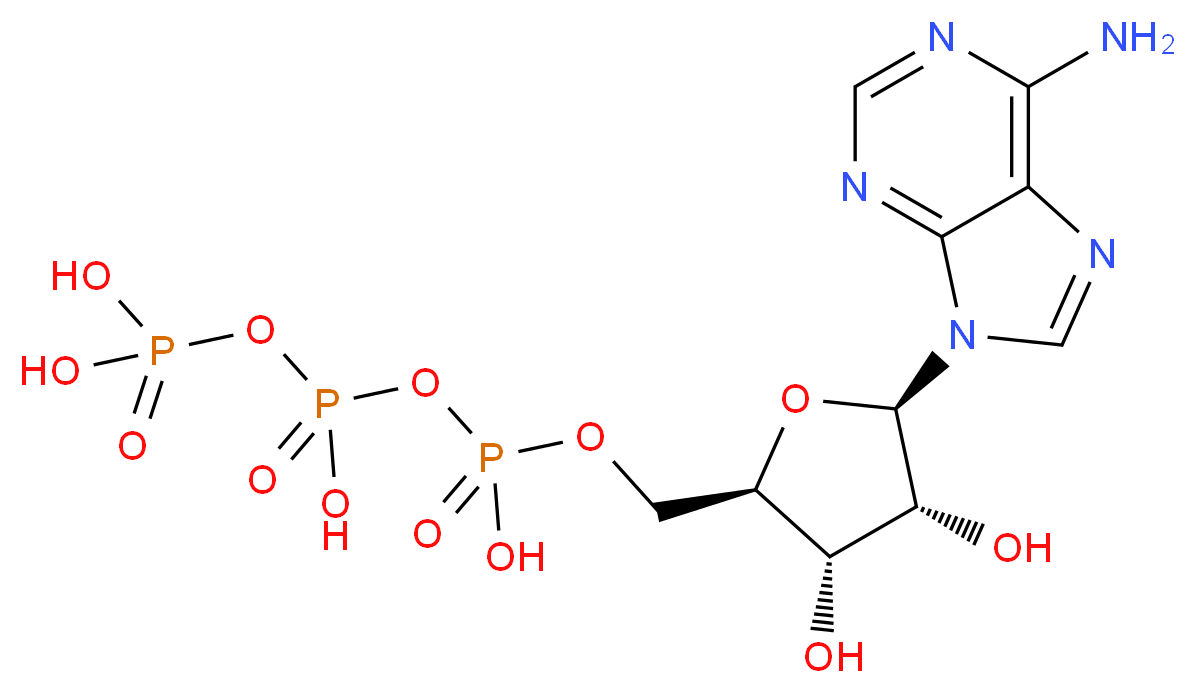 CAS_34369-07-8 molecular structure