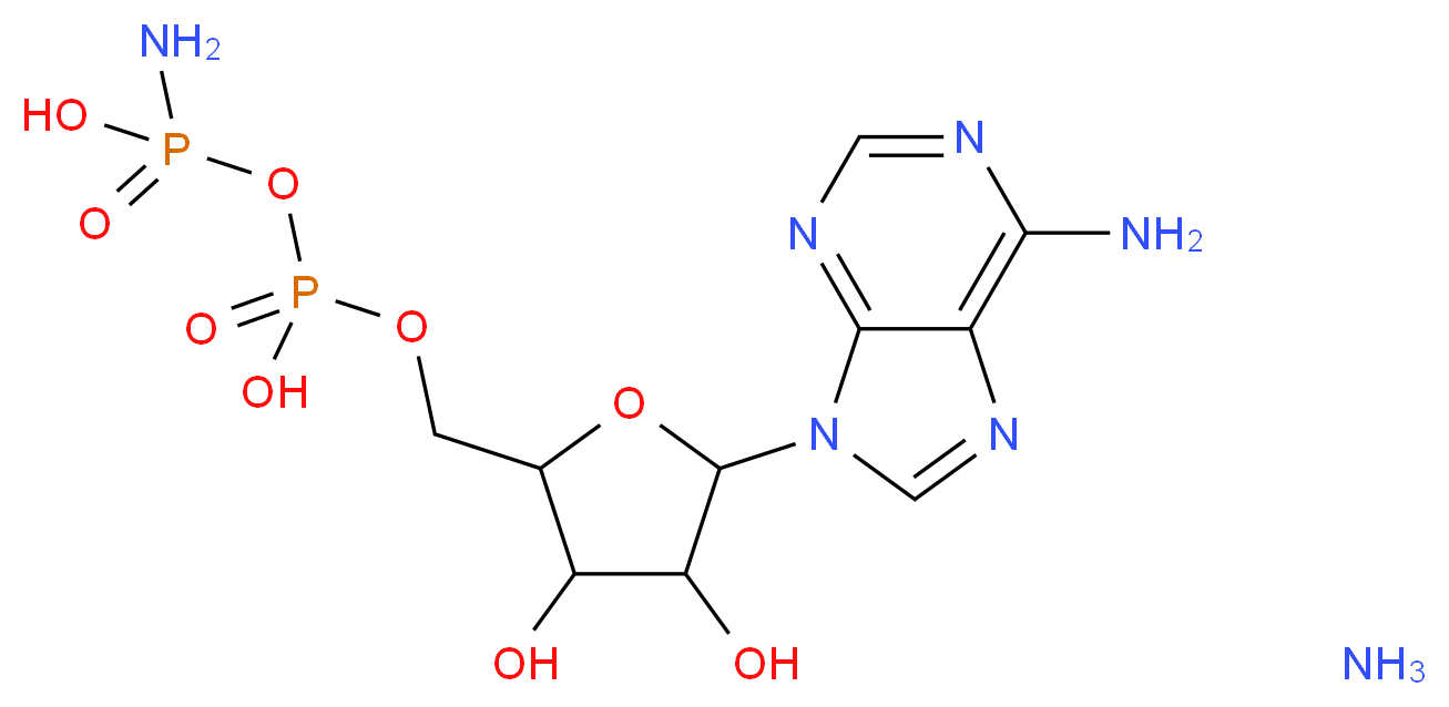 Adenylyl 5′-phosphoramidate diammonium salt_分子结构_CAS_112898-07-4)