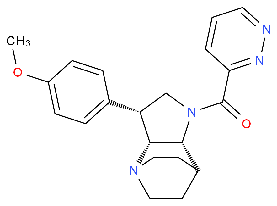 (3R*,3aR*,7aR*)-3-(4-methoxyphenyl)-1-(pyridazin-3-ylcarbonyl)octahydro-4,7-ethanopyrrolo[3,2-b]pyridine_分子结构_CAS_)
