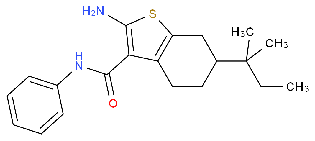 2-Amino-6-(1,1-dimethylpropyl)-N-phenyl-4,5,6,7-tetrahydro-1-benzothiophene-3-carboxamide_分子结构_CAS_)