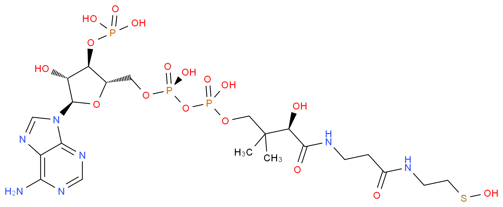 CAS_ 分子结构