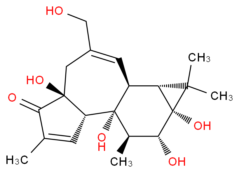 Phorbol_分子结构_CAS_17673-25-5)