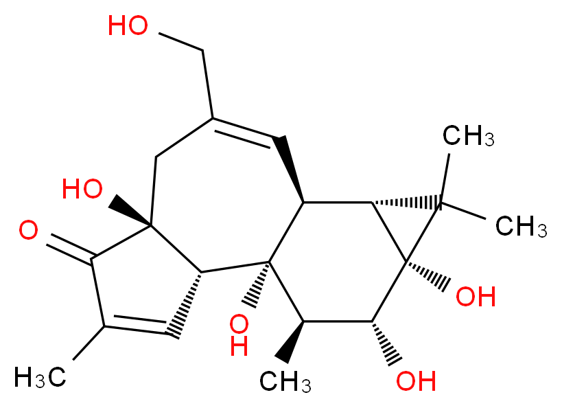 _分子结构_CAS_)