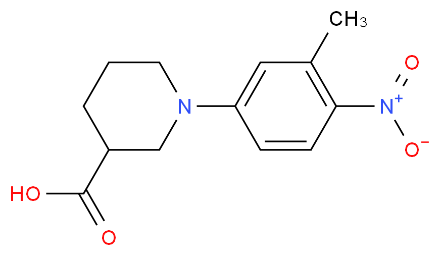 1-(3-Methyl-4-nitrophenyl)piperidine-3-carboxylic acid_分子结构_CAS_)