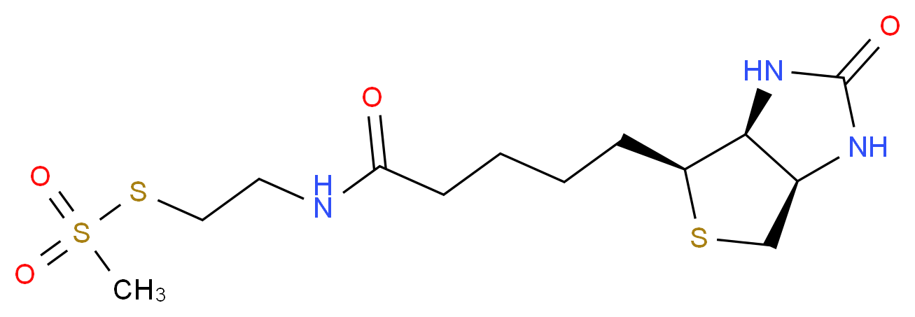 5-[(3aS,4S,6aR)-2-oxo-hexahydro-1H-thieno[3,4-d]imidazolidin-4-yl]-N-[2-(methanesulfonylsulfanyl)ethyl]pentanamide_分子结构_CAS_162758-04-5