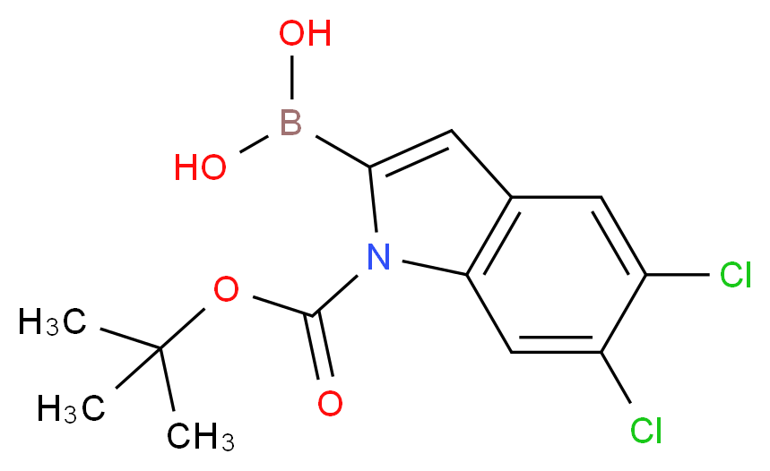 1-Boc-5,6-Dichloro-1H-indole-2-boronic acid_分子结构_CAS_1310384-28-1)