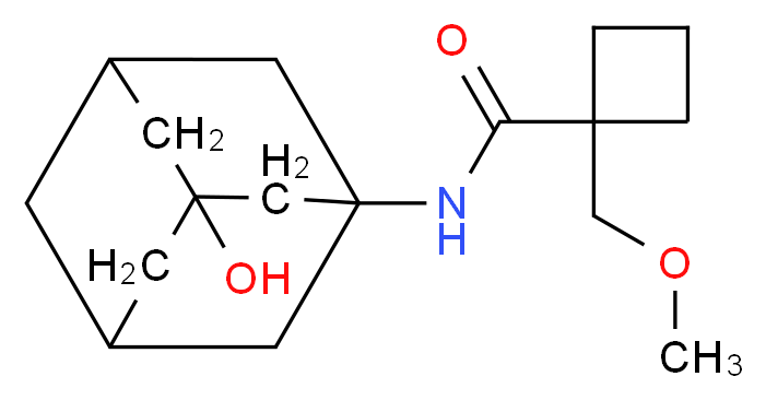  分子结构