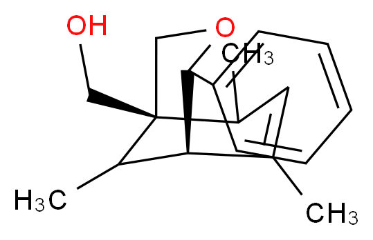 CAS_ 分子结构