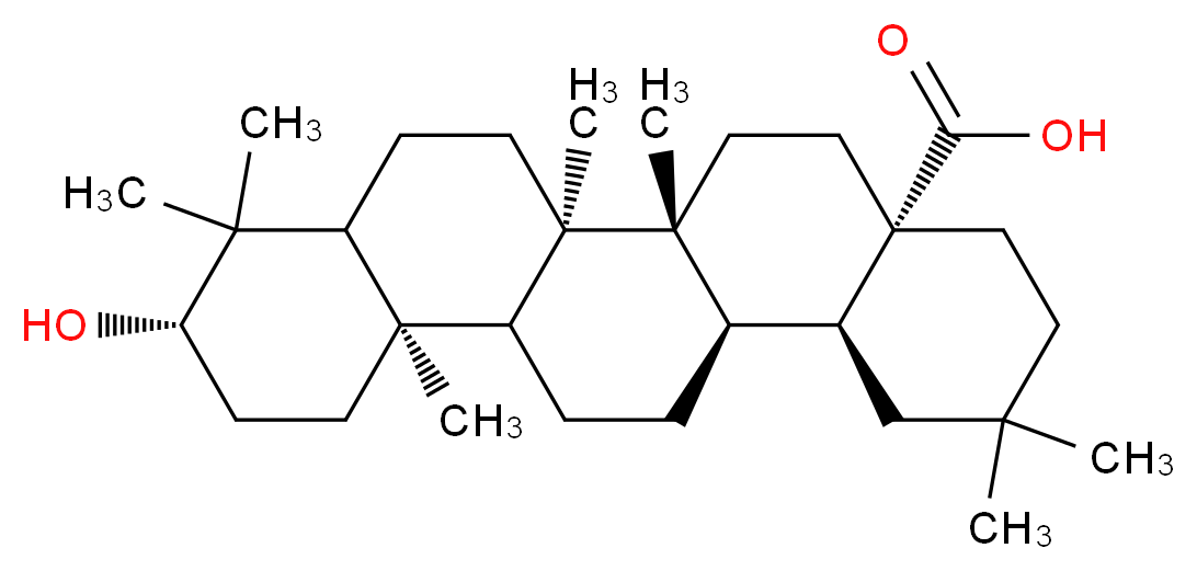 164240224 分子结构