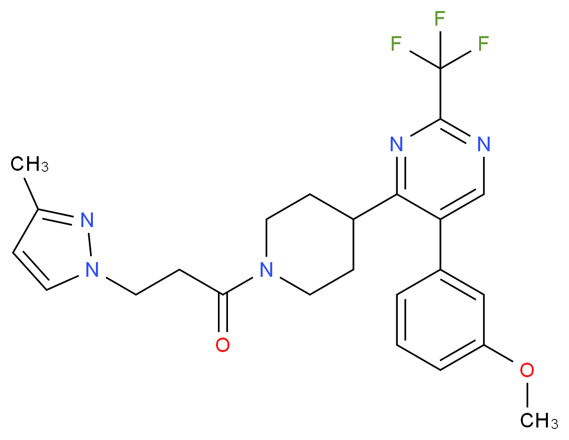  分子结构