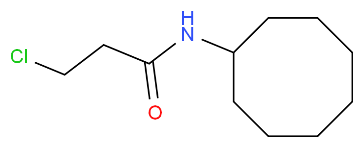 3-chloro-N-cyclooctylpropanamide_分子结构_CAS_543711-67-7