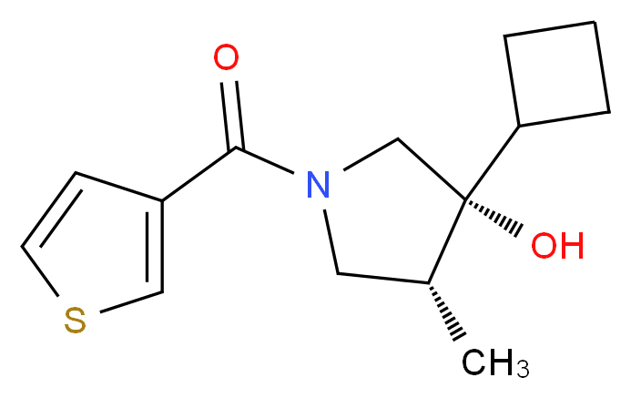  分子结构