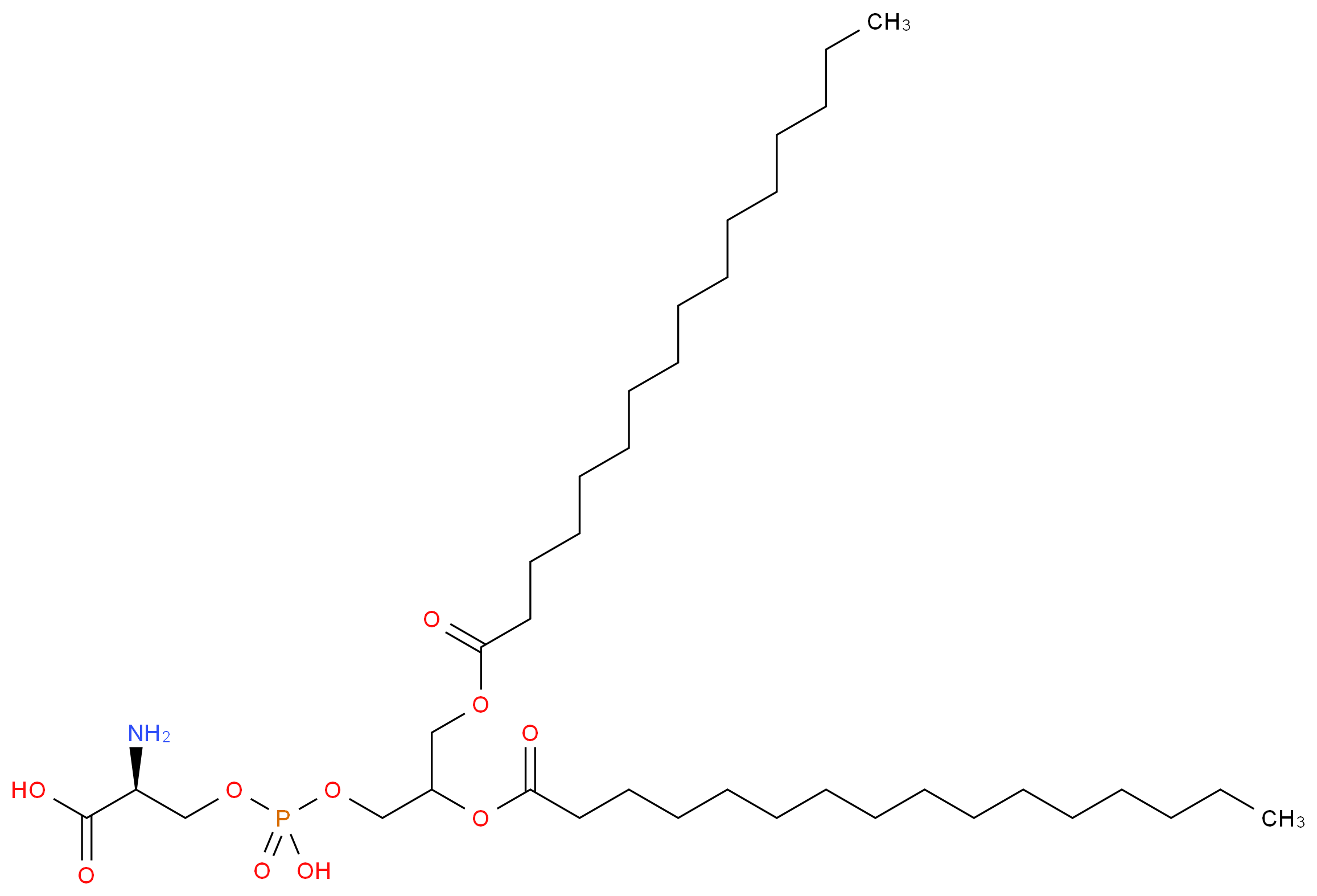 (2S)-2-amino-3-({[2,3-bis(hexadecanoyloxy)propoxy](hydroxy)phosphoryl}oxy)propanoic acid_分子结构_CAS_3036-82-6