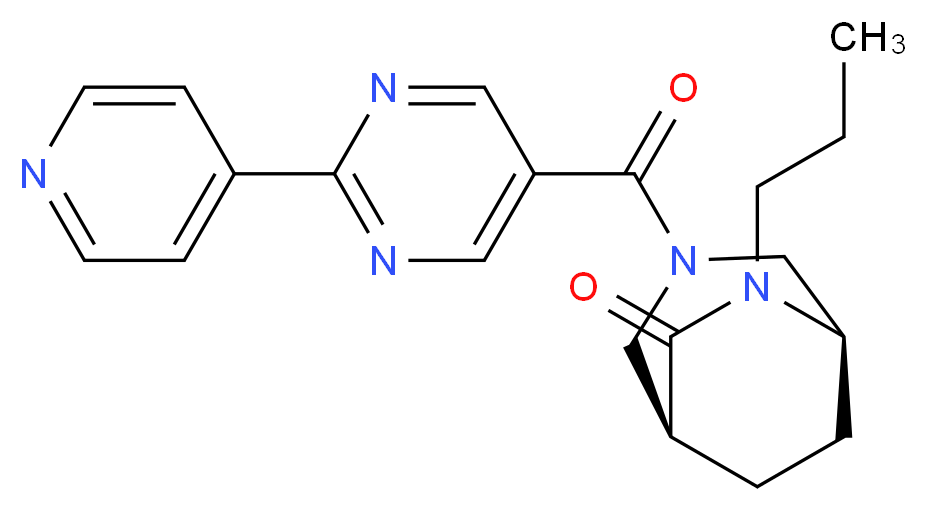  分子结构