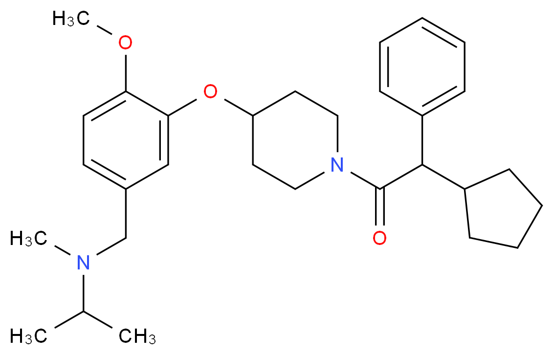  分子结构