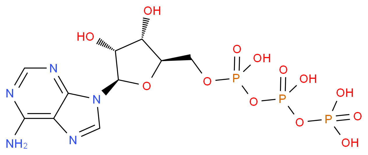 ({[({[(2R,3S,4R,5R)-5-(6-amino-9H-purin-9-yl)-3,4-dihydroxyoxolan-2-yl]methoxy}(hydroxy)phosphoryl)oxy](hydroxy)phosphoryl}oxy)phosphonic acid_分子结构_CAS_56-65-5