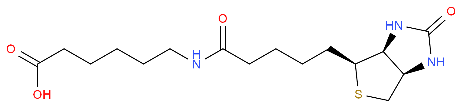 6-{5-[(3aS,4S,6aR)-2-oxo-hexahydro-1H-thieno[3,4-d]imidazolidin-4-yl]pentanamido}hexanoic acid_分子结构_CAS_72040-64-3