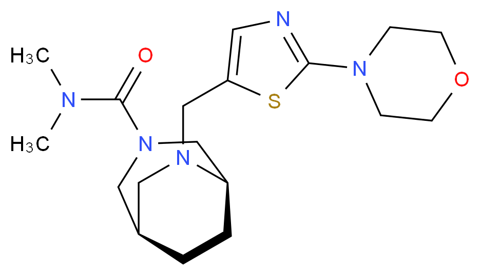  分子结构