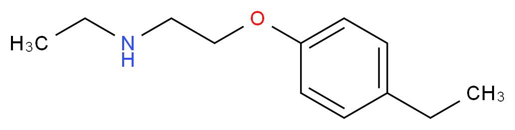 ethyl[2-(4-ethylphenoxy)ethyl]amine_分子结构_CAS_915924-21-9