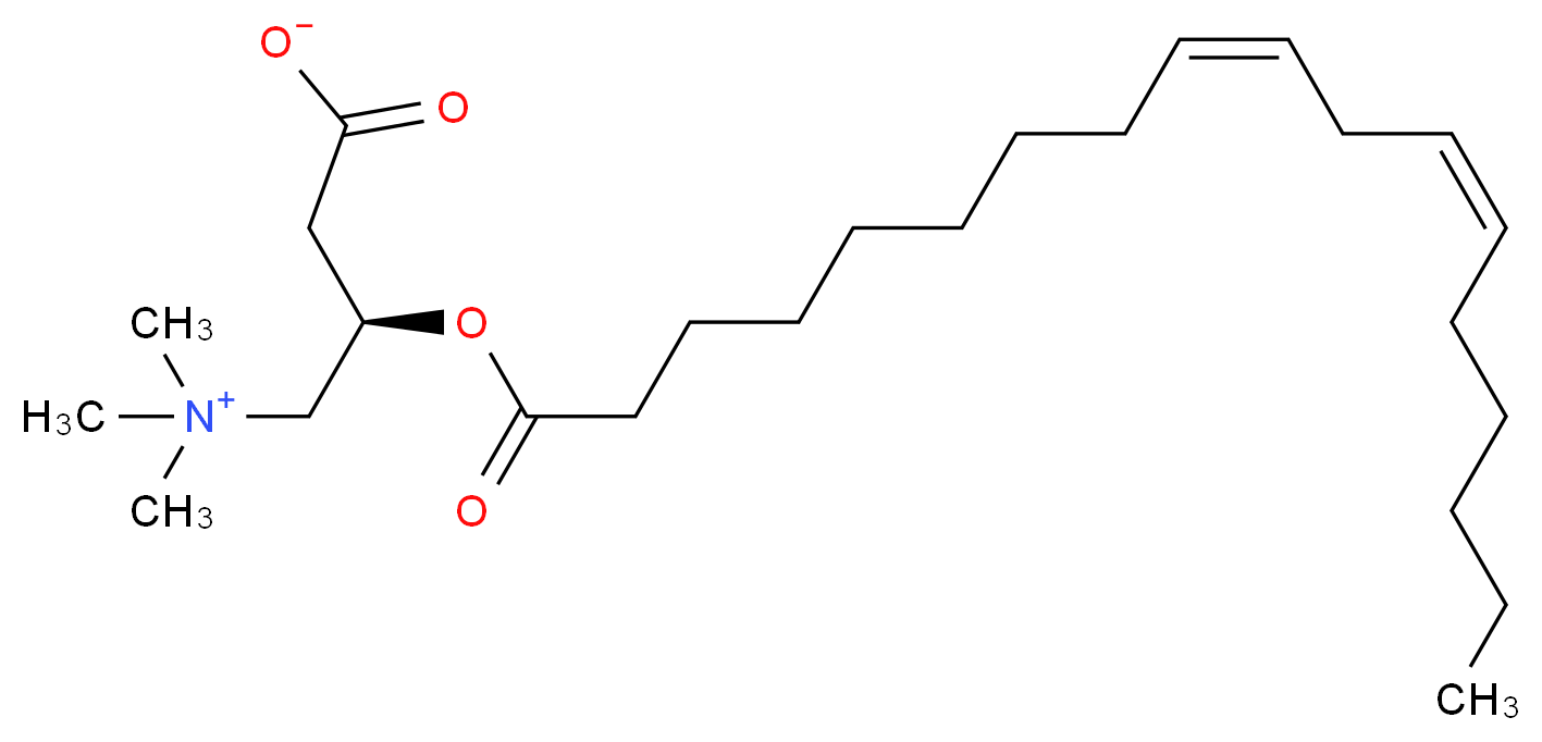 (3R)-3-[(9Z,12Z)-octadeca-9,12-dienoyloxy]-4-(trimethylazaniumyl)butanoate_分子结构_CAS_36816-10-1