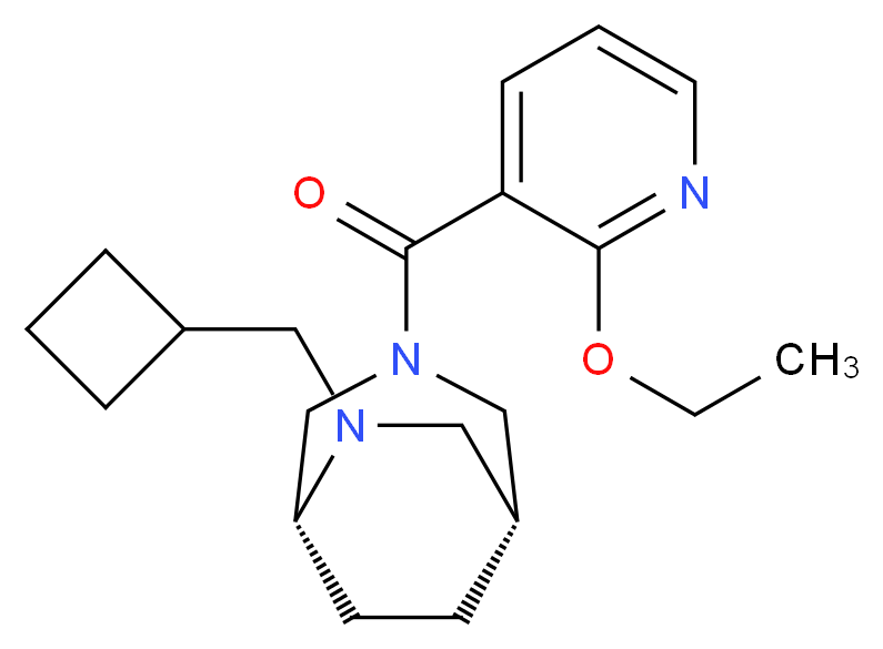  分子结构