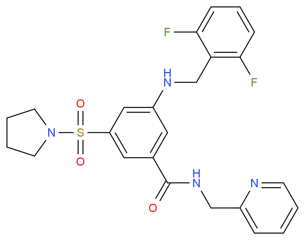 3-[(2,6-difluorobenzyl)amino]-N-(2-pyridinylmethyl)-5-(1-pyrrolidinylsulfonyl)benzamide_分子结构_CAS_)