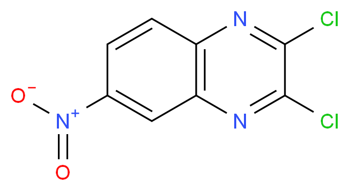 2 3-Dichloro-6-nitroquinoxaline_分子结构_CAS_2379-60-4)