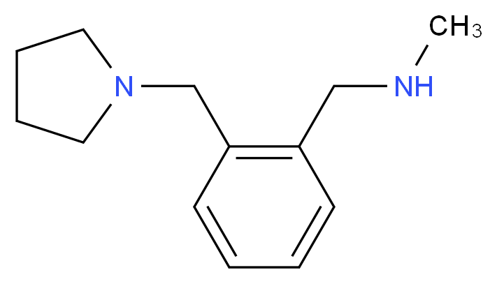 methyl({[2-(pyrrolidin-1-ylmethyl)phenyl]methyl})amine_分子结构_CAS_920461-58-1