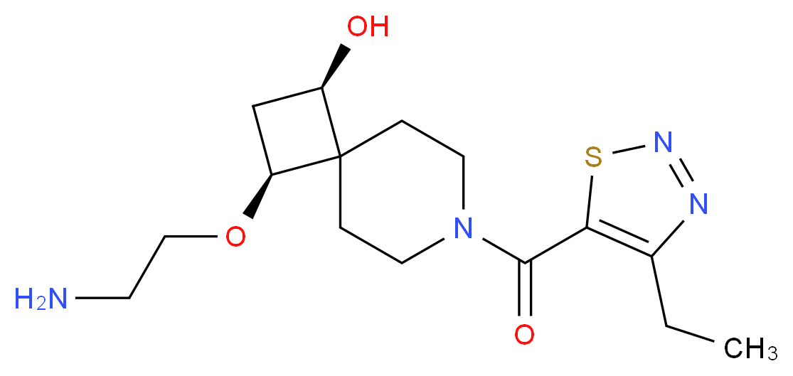  分子结构