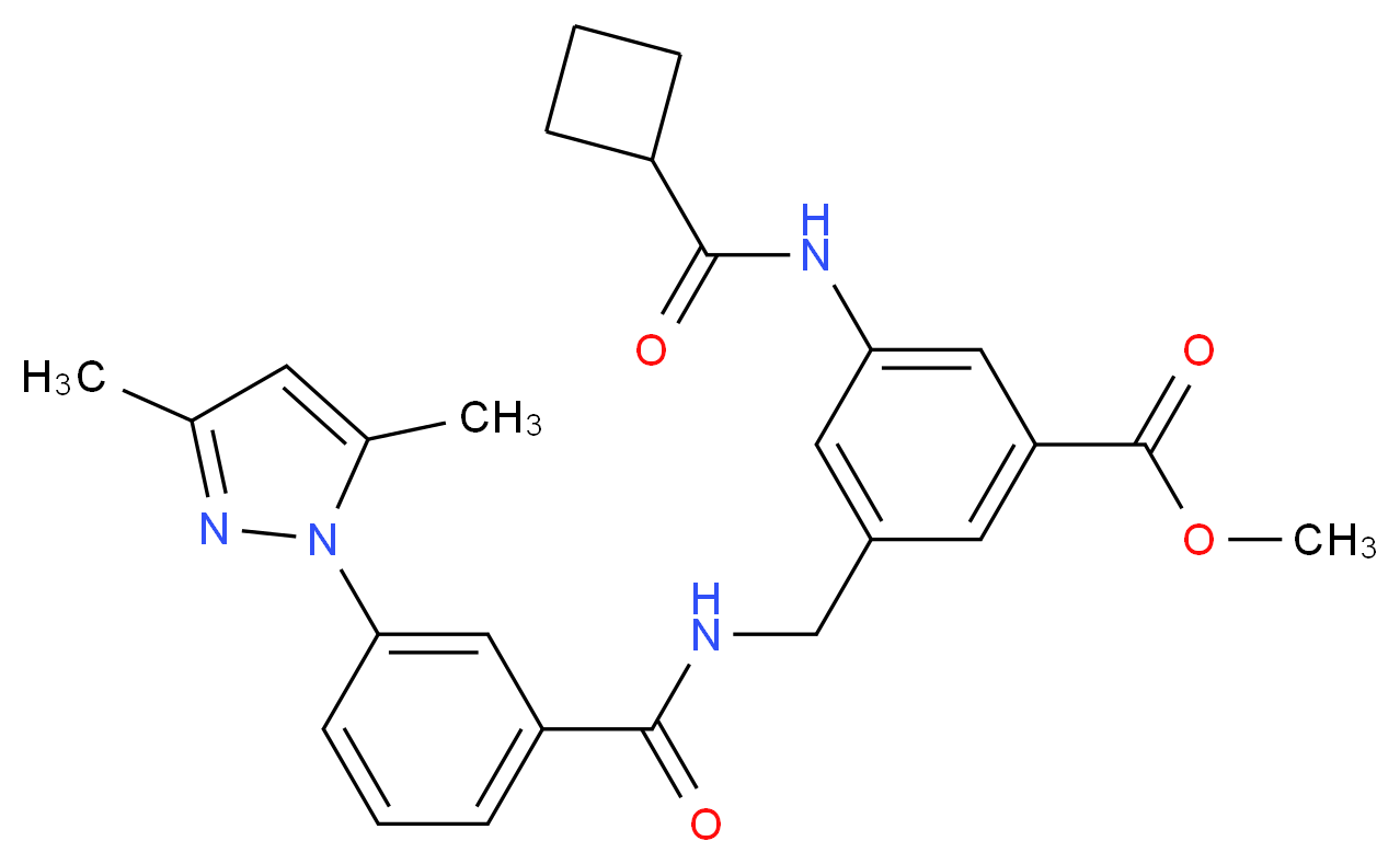 methyl 3-[(cyclobutylcarbonyl)amino]-5-({[3-(3,5-dimethyl-1H-pyrazol-1-yl)benzoyl]amino}methyl)benzoate_分子结构_CAS_)