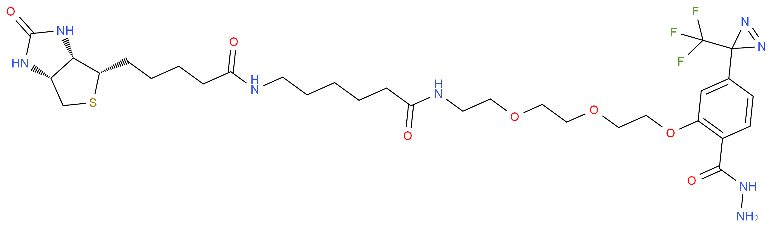 CAS_ 分子结构
