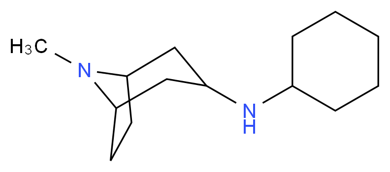 N-cyclohexyl-8-methyl-8-azabicyclo[3.2.1]octan-3-amine_分子结构_CAS_464922-77-8)