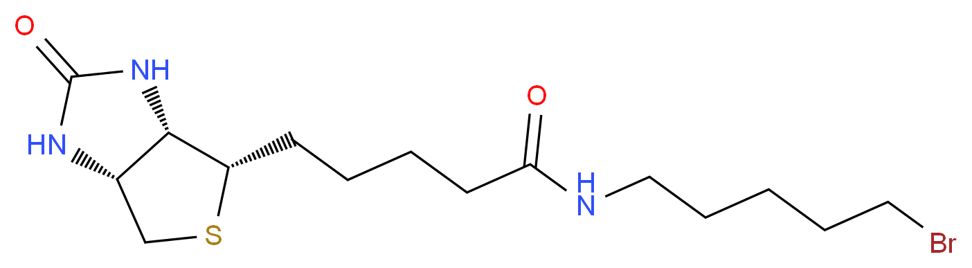 5-[(3aS,4S,6aR)-2-oxo-hexahydro-1H-thieno[3,4-d]imidazolidin-4-yl]-N-(5-bromopentyl)pentanamide_分子结构_CAS_1217605-72-5