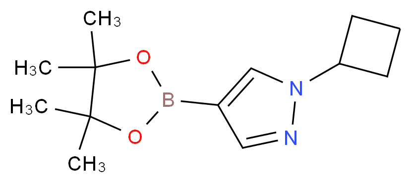 1002309-48-9 分子结构