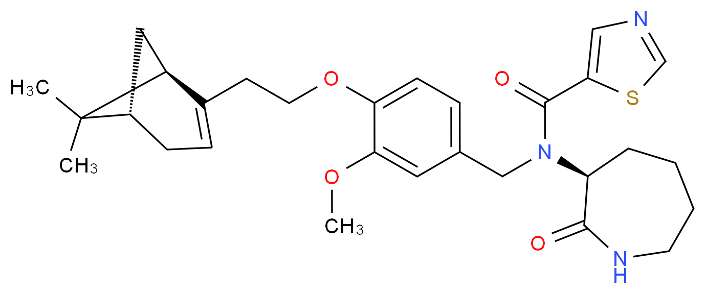  分子结构