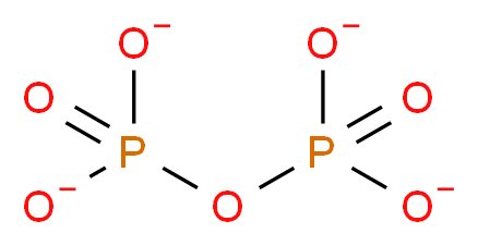 2466-09-3 分子结构