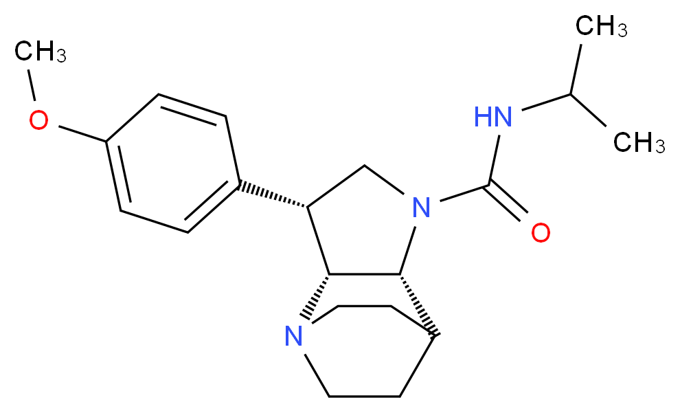  分子结构