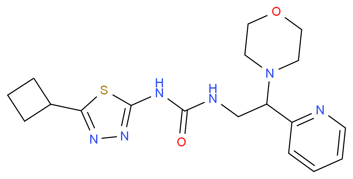  分子结构
