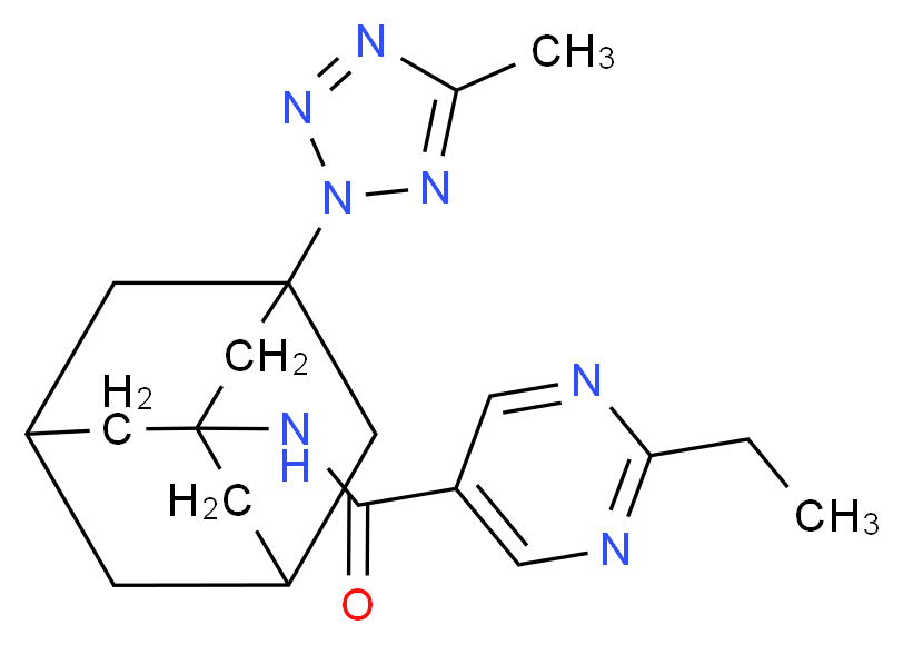  分子结构
