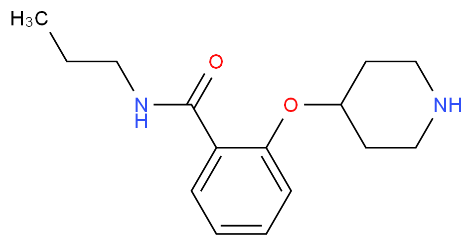 902837-05-2 分子结构