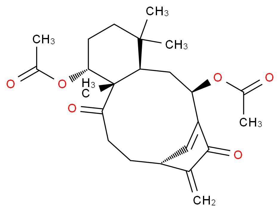 N 分子结构