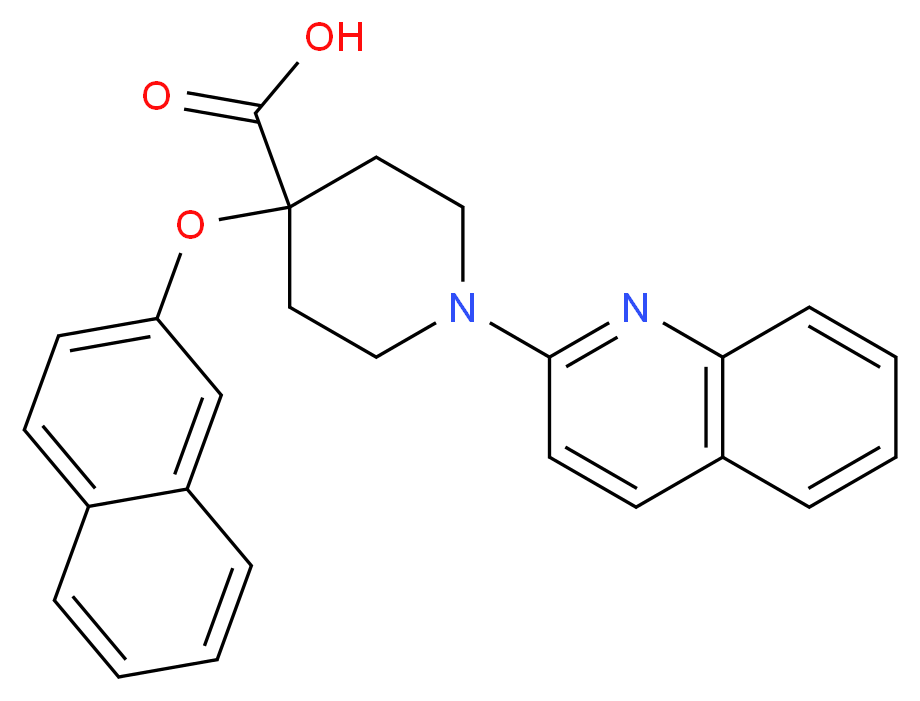  分子结构