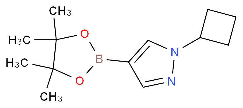 1-cyclobutyl-4-(tetramethyl-1,3,2-dioxaborolan-2-yl)-1H-pyrazole_分子结构_CAS_1002309-48-9